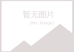 偃师映之司法有限公司